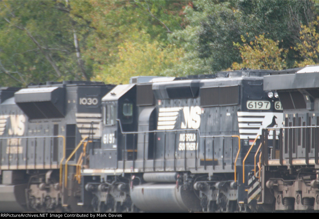 NS 6197